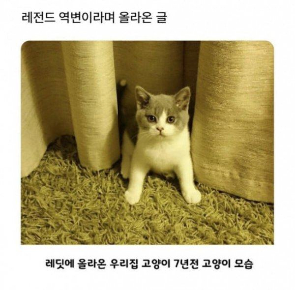 478aaf89349cce8ef6f48197edb15fcb_1757277889_3038.png