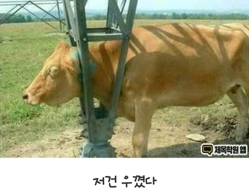 7a1303d34aa23dec019ef59aff393bba_1757023620_5245.png