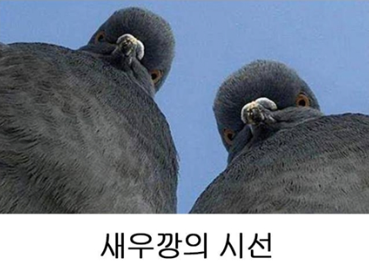 7a1303d34aa23dec019ef59aff393bba_1757023636_3309.png