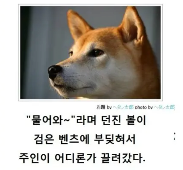 7a1303d34aa23dec019ef59aff393bba_1757023956_4455.png