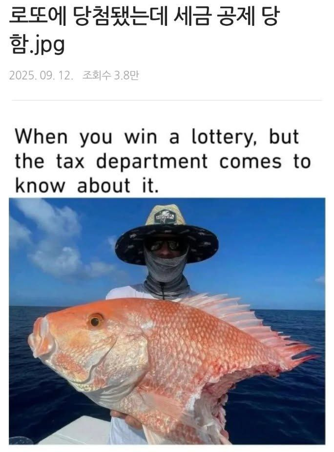 b77ab7db3752d8405e998a3413732337_1759182899_5871.png