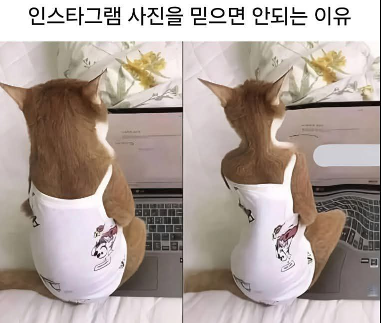 e01713d3d9fce5559f42408de8c1bd1a_1758403935_4407.png