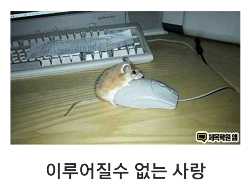 7a1303d34aa23dec019ef59aff393bba_1757024154_515.png