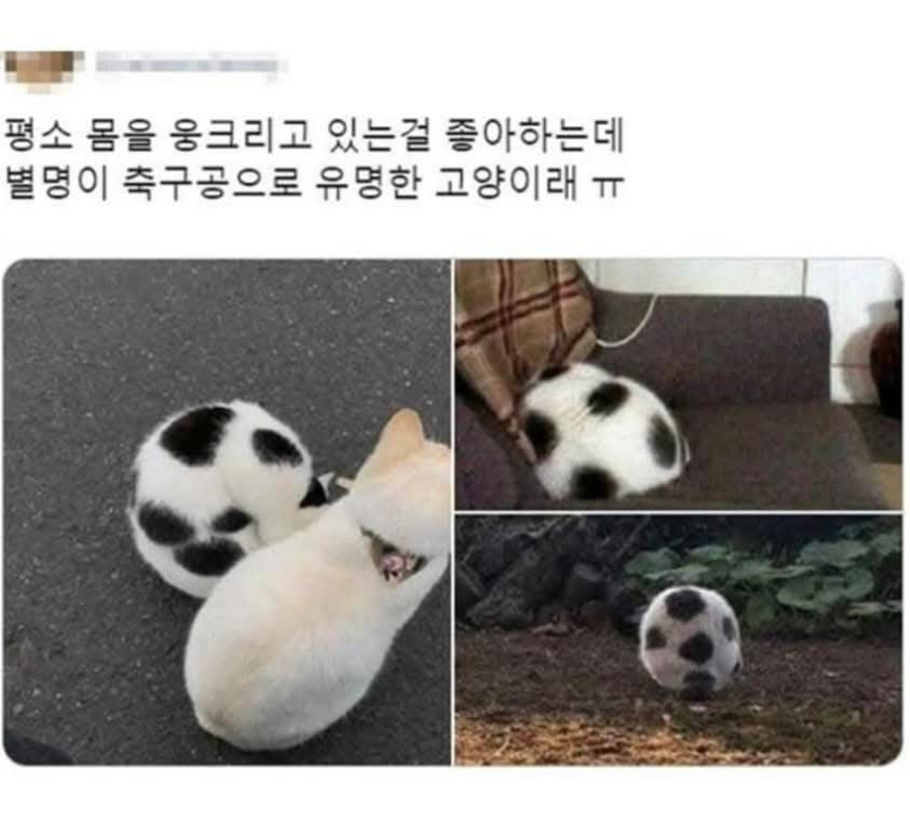 e01713d3d9fce5559f42408de8c1bd1a_1758403890_3229.png