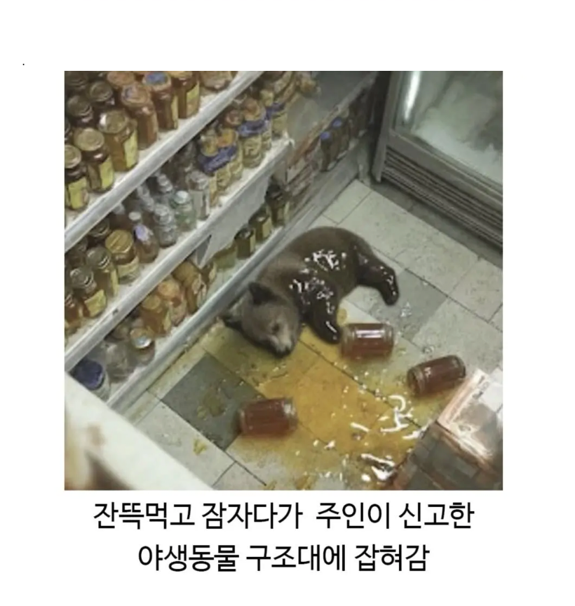 13639a78ab04e8beabd95eabb442cfeb_1759938533_152.png