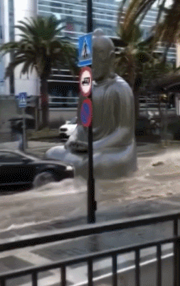 825fad1c264f923d0f73b0edd80c295c_1760919774_1483.gif