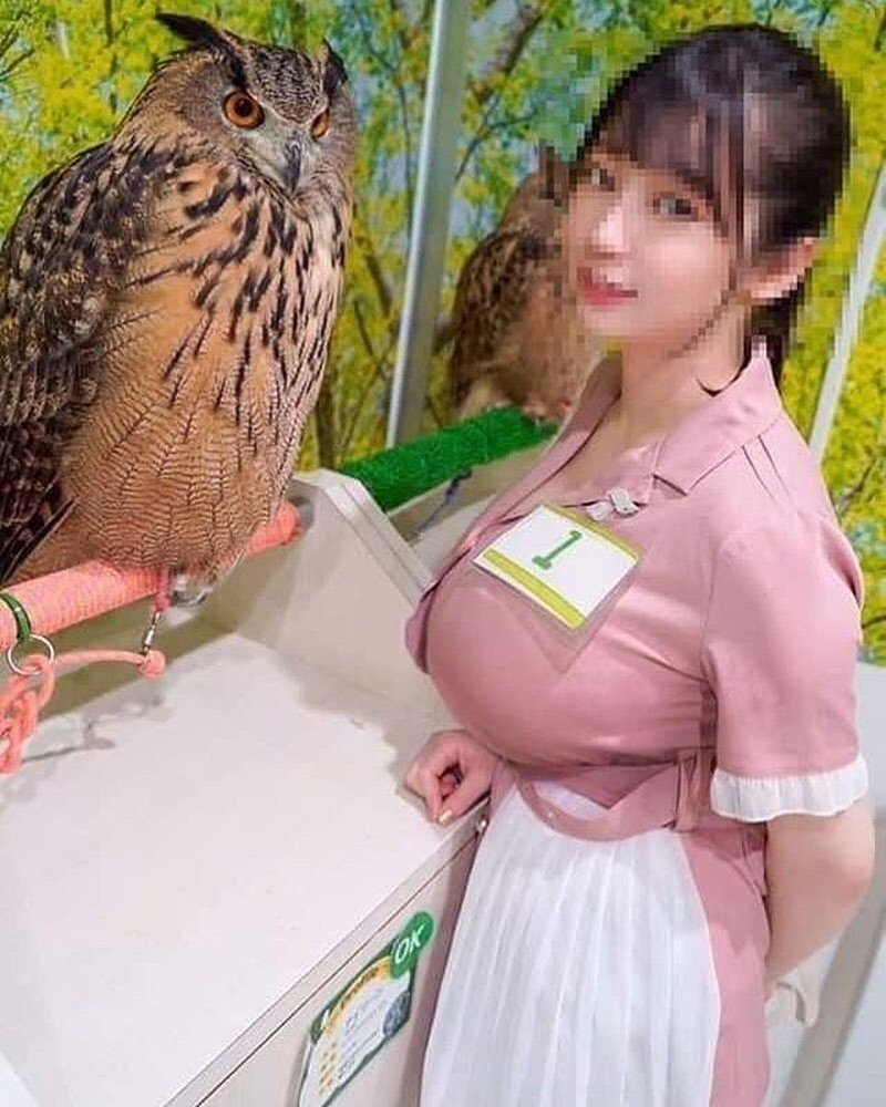 8b3949f56766c57b1af0cae3e1875ae4_1759996015_3612.png