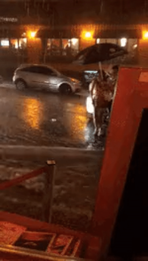 a4792699af4a7e85ee980e785caf3598_1759480575_4873.gif