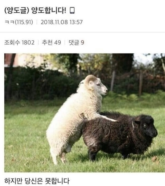 effe3cbfca14041197e3579334350bcb_1759287202_7169.png