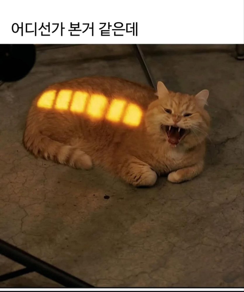 d3ef389f79d4417a4ec5ca142ba6e955_1760556892_4791.png